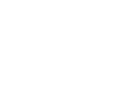 Veiligheid icon